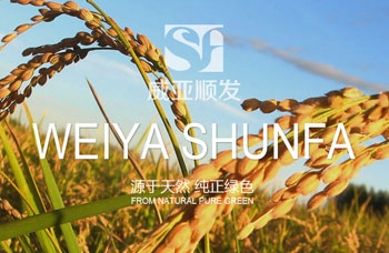 熱烈祝賀江蘇順發(fā)米業(yè)有限公司網站全新上線！！！