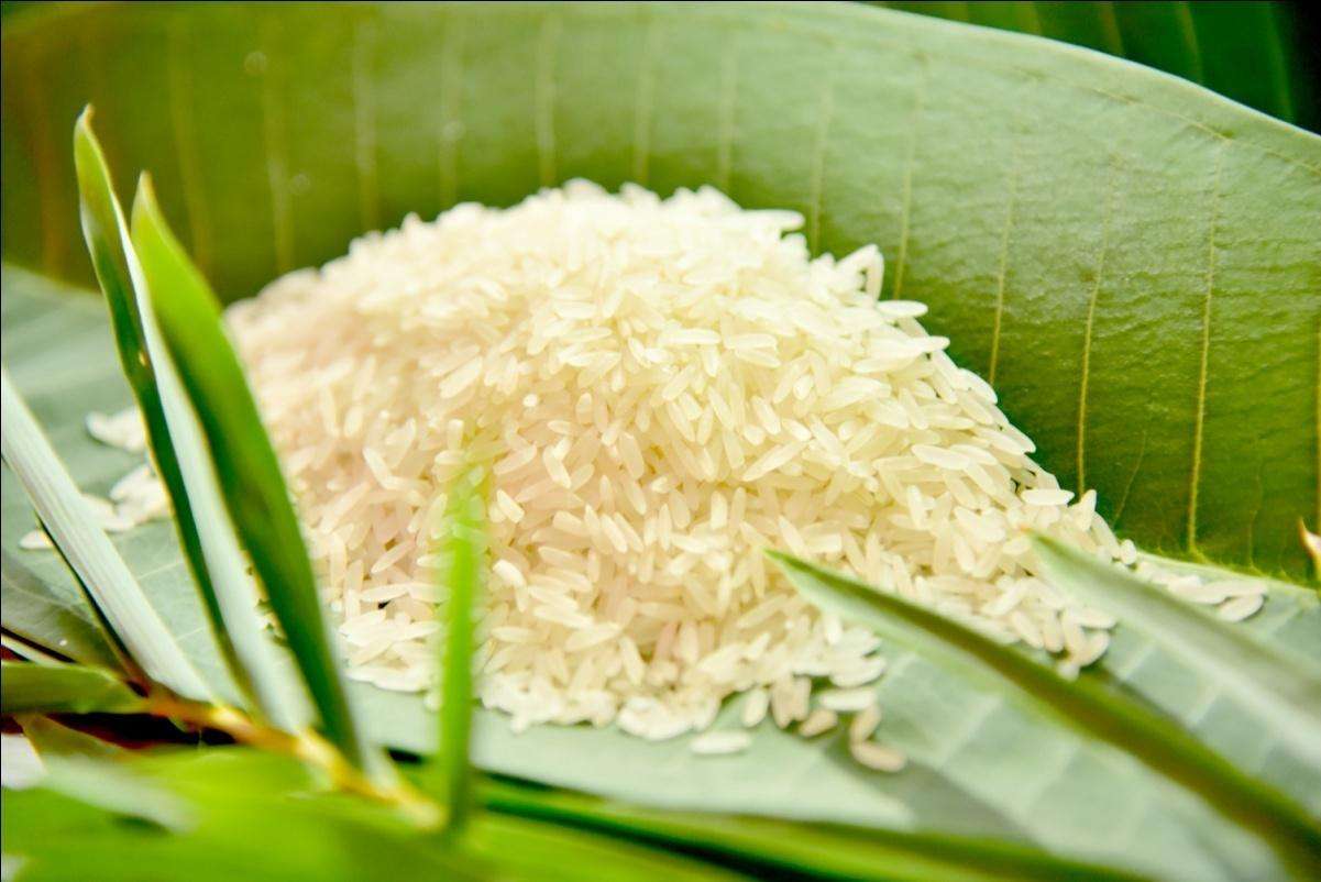 了解有機(jī)大米儲藏特點(diǎn)，正確進(jìn)行儲藏